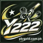 Y222 Game