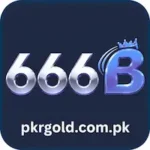 666B Game